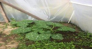 17-05-2019